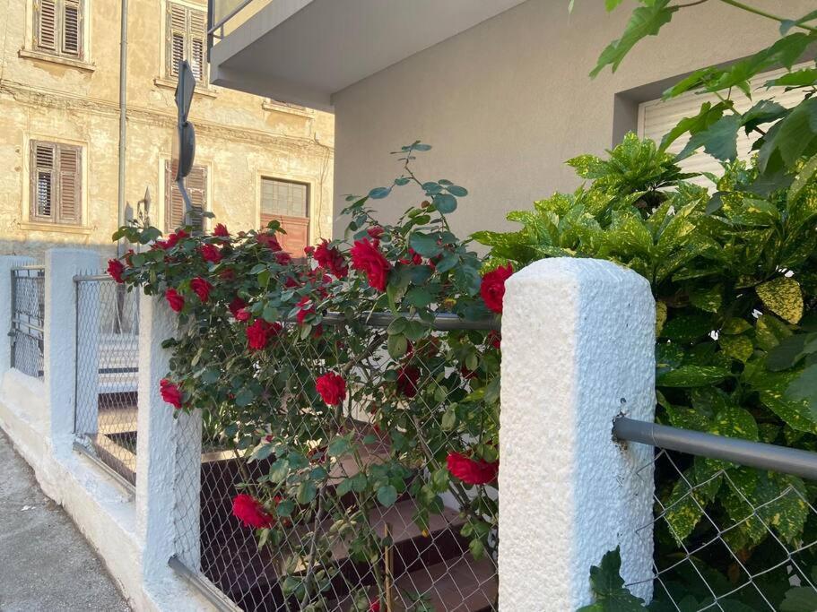 Green Oasis New Apartment Pula Bagian luar foto